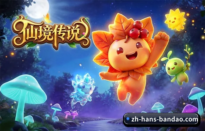 半岛 APP 深度功能