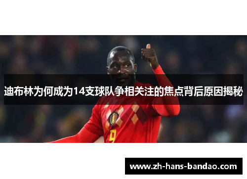 迪布林为何成为14支球队争相关注的焦点背后原因揭秘
