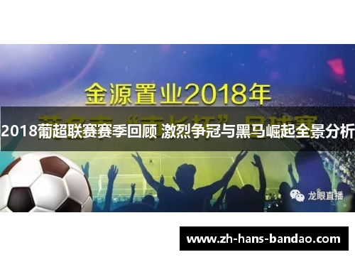 2018葡超联赛赛季回顾 激烈争冠与黑马崛起全景分析