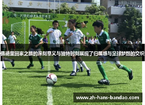 佩德里回家之旅的深刻意义与独特时刻展现了归属感与足球梦想的交织
