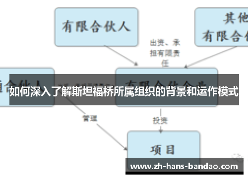 如何深入了解斯坦福桥所属组织的背景和运作模式
