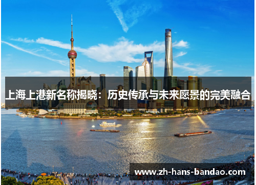 上海上港新名称揭晓：历史传承与未来愿景的完美融合