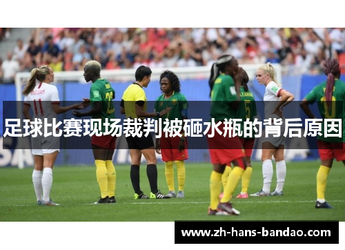 足球比赛现场裁判被砸水瓶的背后原因