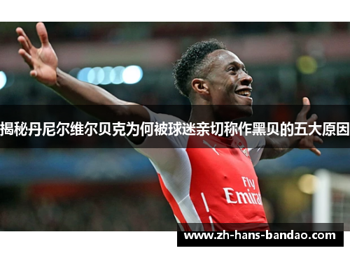 揭秘丹尼尔维尔贝克为何被球迷亲切称作黑贝的五大原因